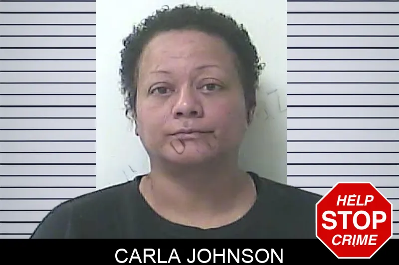 Carla Johnson Mugshots