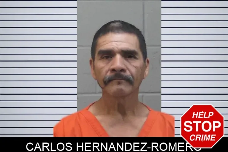 Carlos Hernandez-Romero