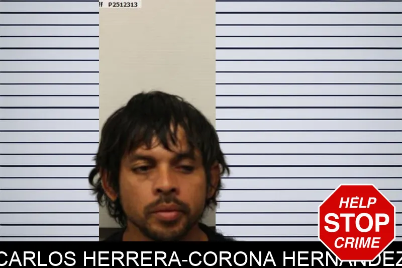 Carlos Herrera-Corona Hernandez Mugshots