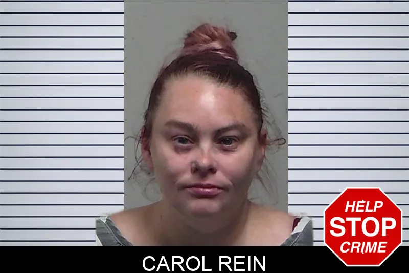 Carol Rein Mugshots