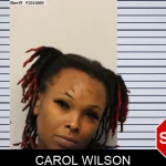 Carol Wilson Mugshots