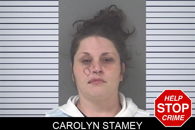 Carolyn Stamey Mugshots