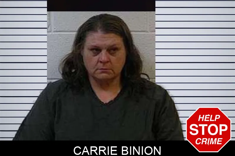 Carrie Binion Mugshots