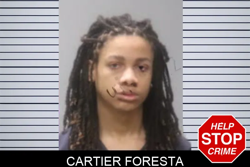 Cartier Foresta Mugshots