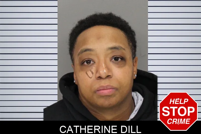 Catherine Dill Mugshots