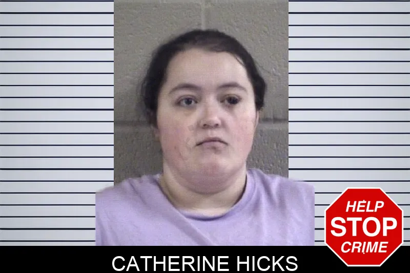 Catherine Hicks Mugshots