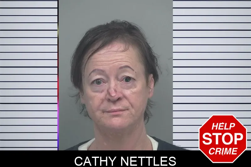 Cathy Nettles mugshot – Gwinnett County , Georgia Cathy Nettles mugshot