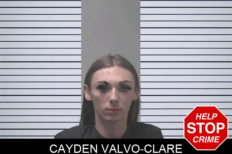 Cayden Valvo-Clare Mugshots