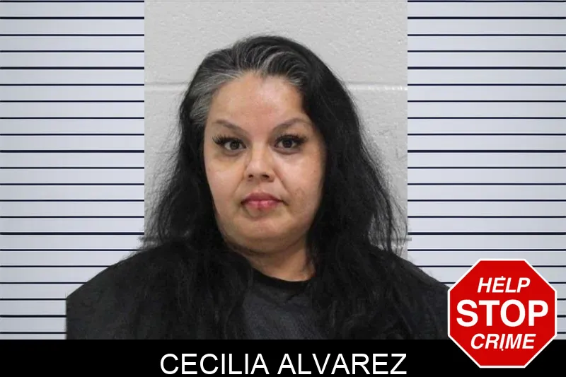Cecilia Alvarez Mugshots