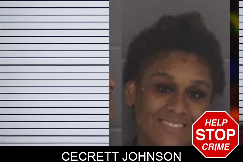 Cecrett Johnson Mugshots