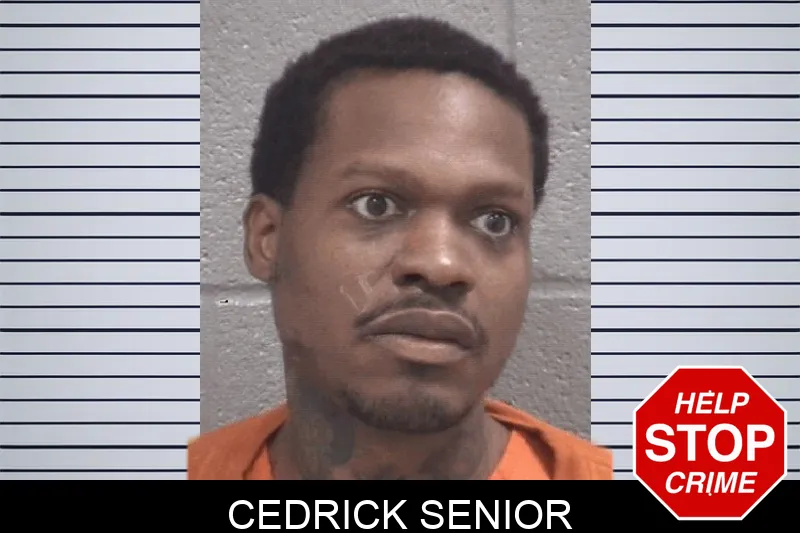 Cedrick Senior Mugshots