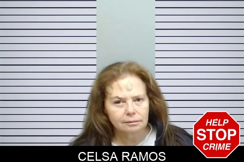 Celsa Ramos mugshot – Fulton County , Georgia Celsa Ramos mugshot