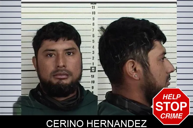 Cerino Hernandez Mugshots
