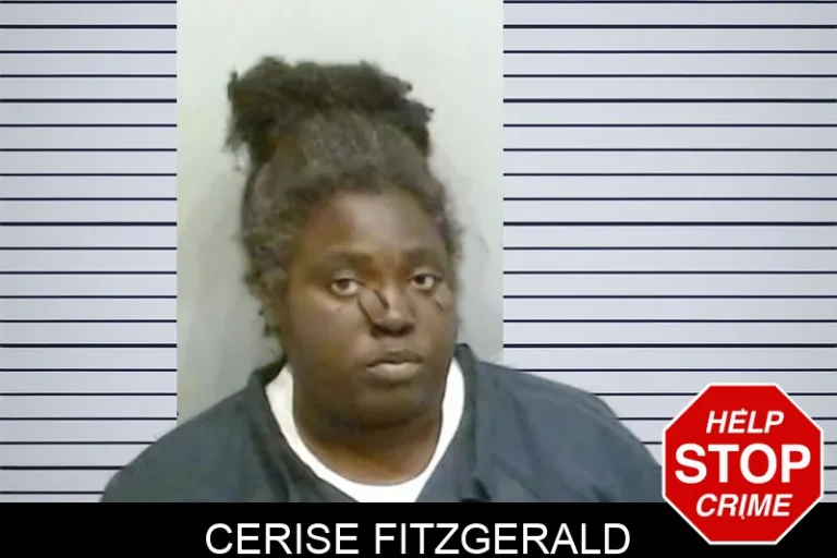 Cerise Fitzgerald mugshot – Fulton County , Georgia Cerise Fitzgerald