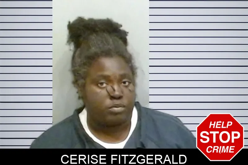 Cerise Fitzgerald mugshot