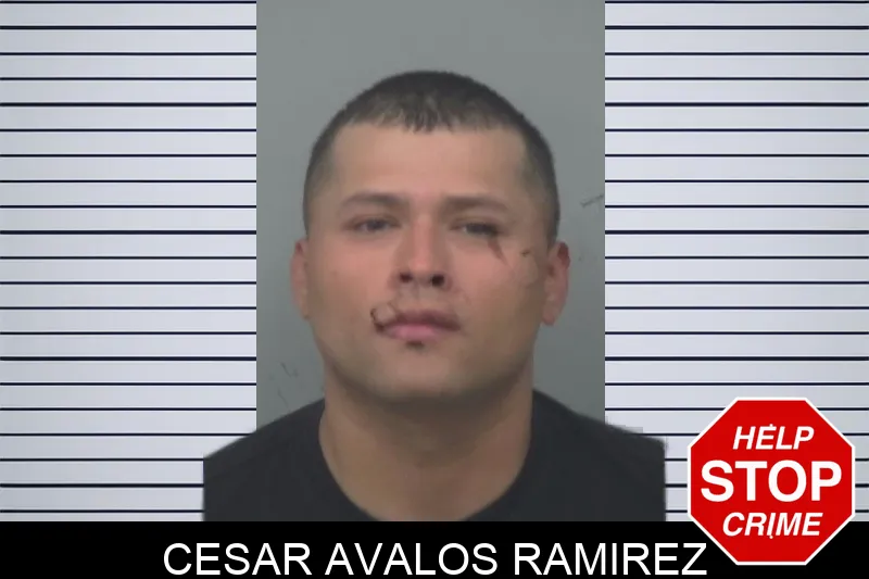 Cesar Avalos Ramirez Mugshots