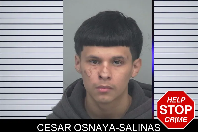 Cesar Osnaya-Salinas Mugshots