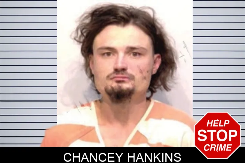Chancey Hankins Mugshots