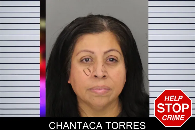 Chantaca Torres Mugshots