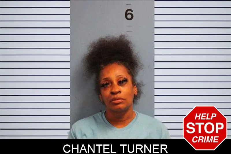 Chantel Turner Mugshots