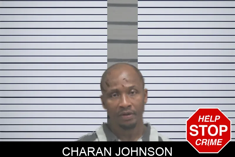 Charan Johnson Mugshots