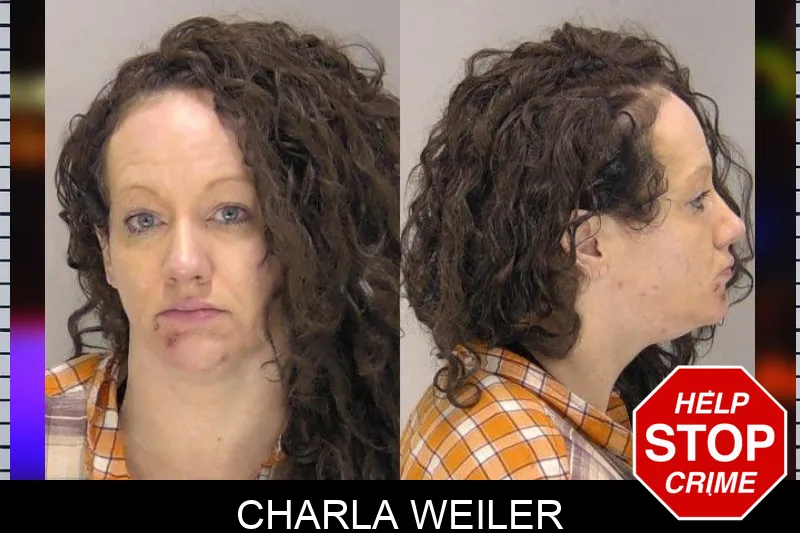 Charla Weiler Mugshots
