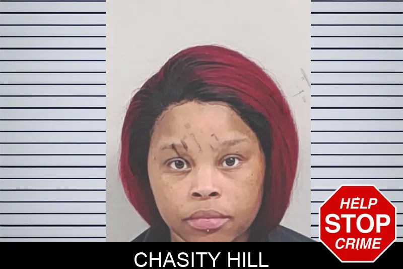 Chasity Hill Mugshots
