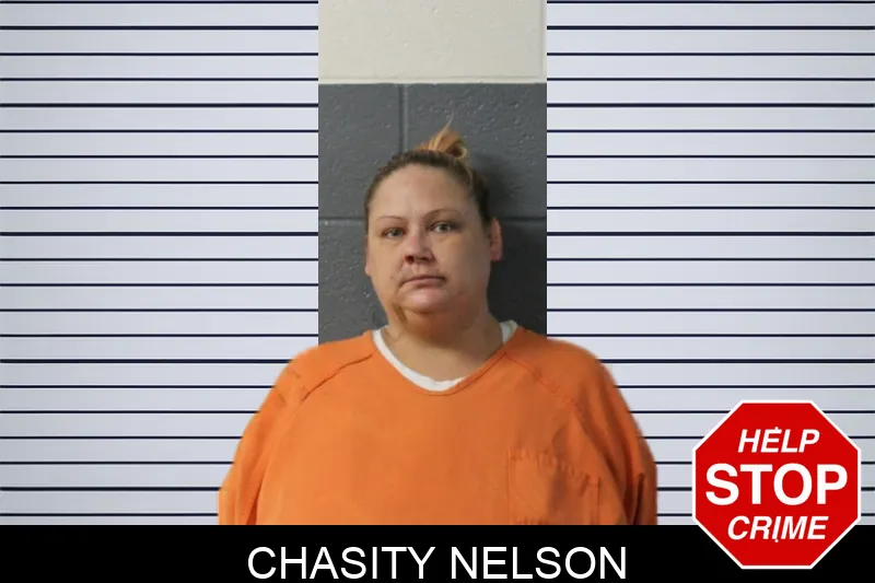 Chasity Nelson Mugshots