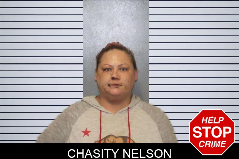 Chasity Nelson Mugshots