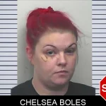 Chelsea Boles Mugshots
