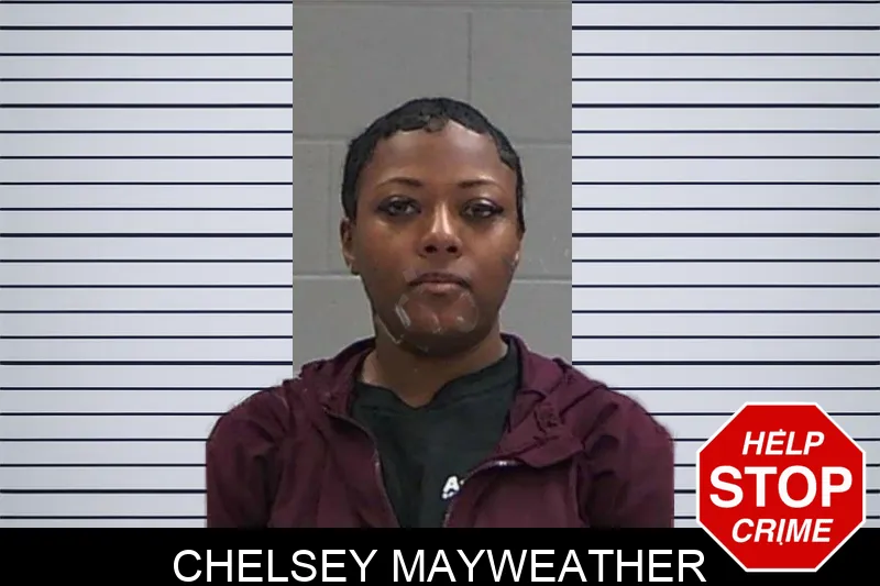 Chelsey Mayweather Mugshots