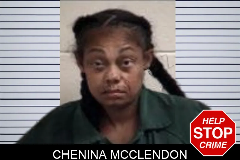 Chenina McClendon Mugshots