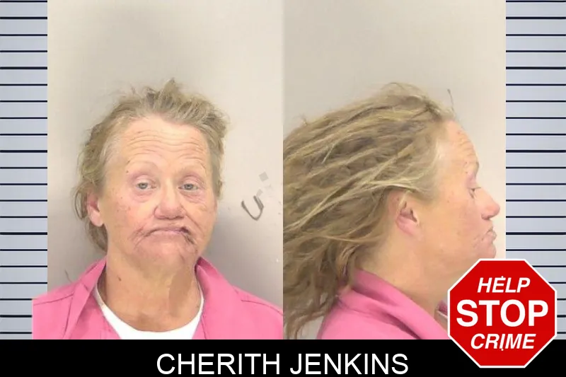 Cherith Jenkins Mugshots