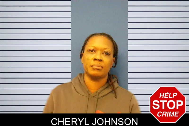 Cheryl Johnson Mugshots