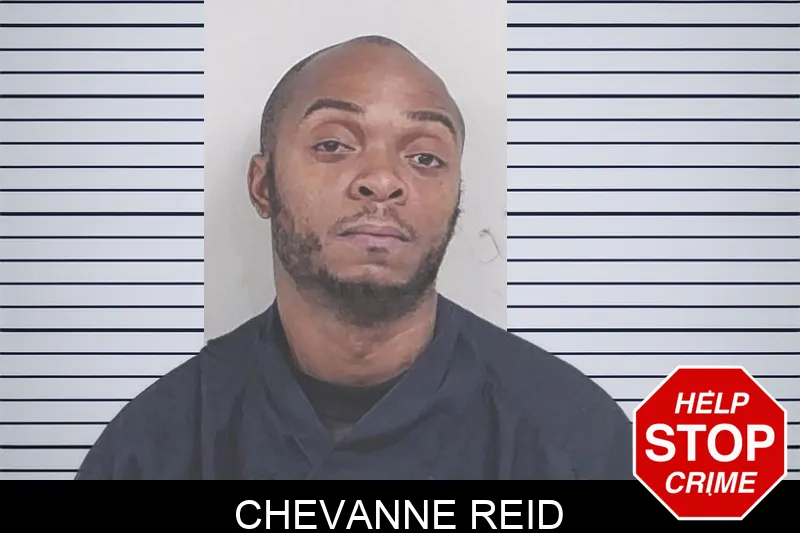 Chevanne Reid Mugshots