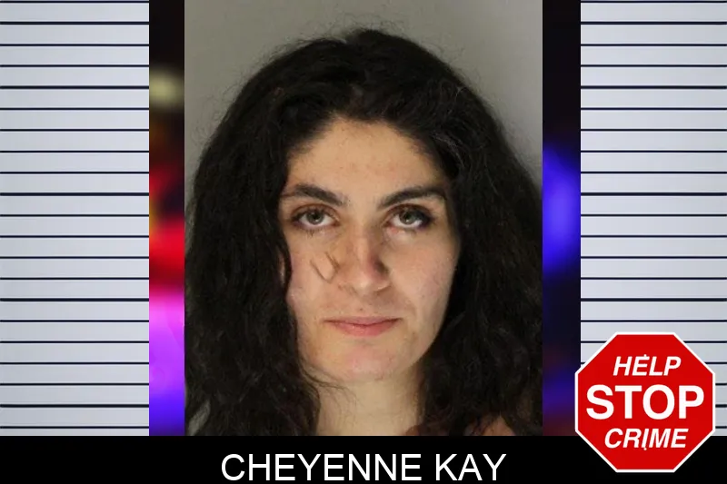 Cheyenne Kay mugshot – Hall County , Georgia Cheyenne Kay mugshot