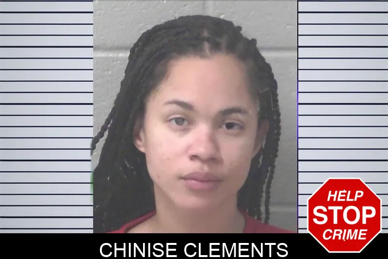 Chinise Clements Mugshots