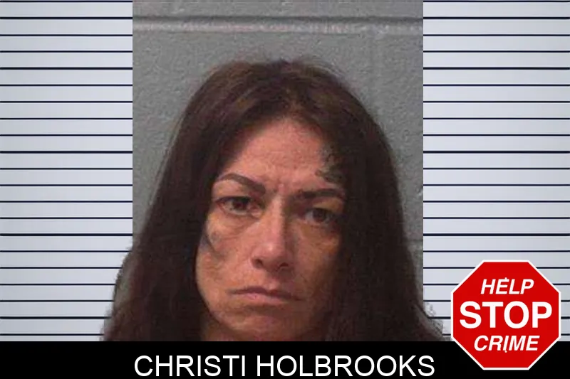 Christi Holbrooks Mugshots