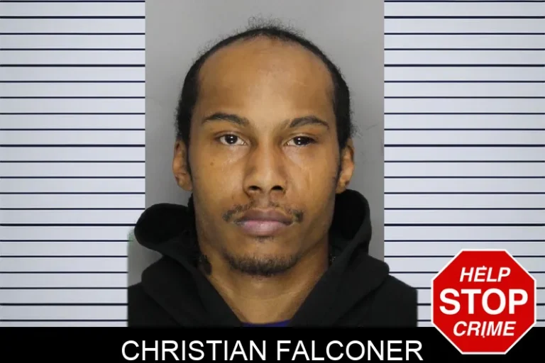 Christian Falconer mugshot – Cobb County , Georgia Christian Falconer