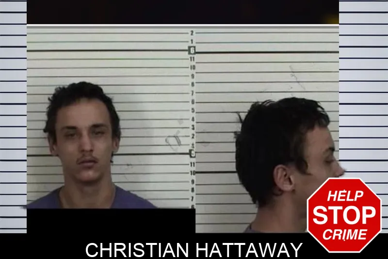 Christian Hattaway Mugshots
