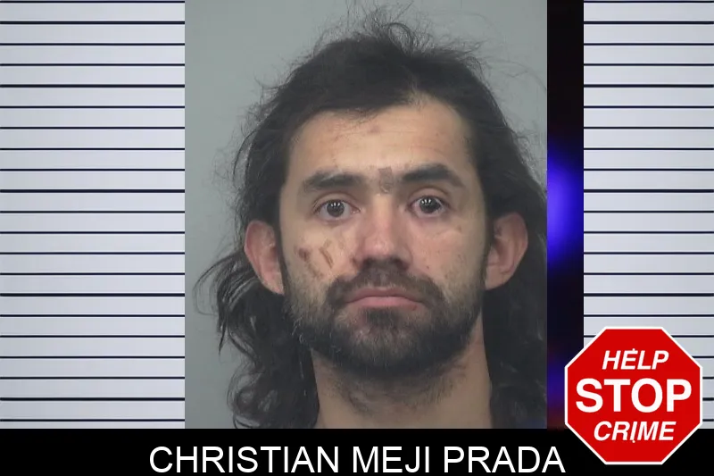 Christian Meji Prada Mugshots