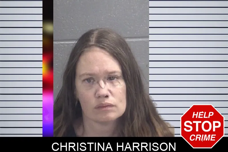 Christina Harrison Mugshots