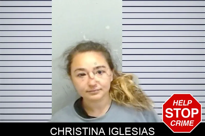 Christina Iglesias Mugshots