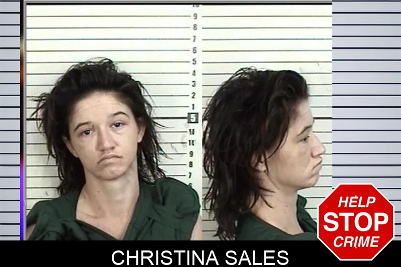 Christina Sales Mugshots