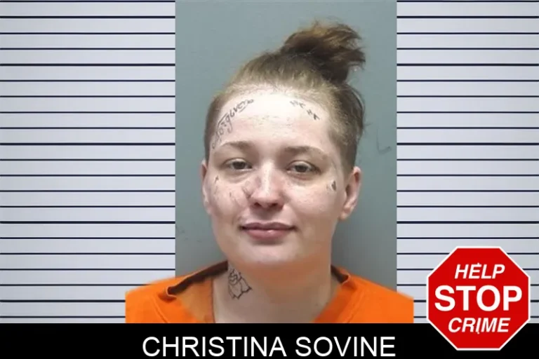 Christina Sovine mugshot – Cherokee County , Georgia Christina Sovine