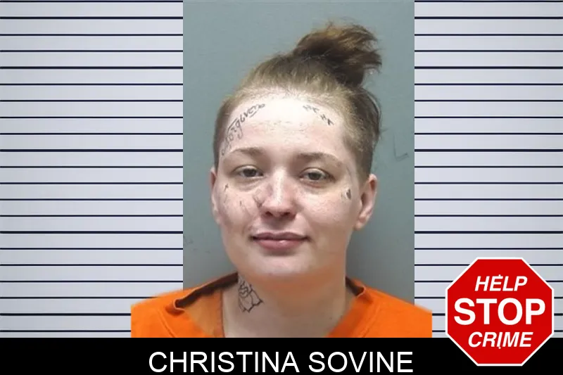 Christina Sovine Mugshots