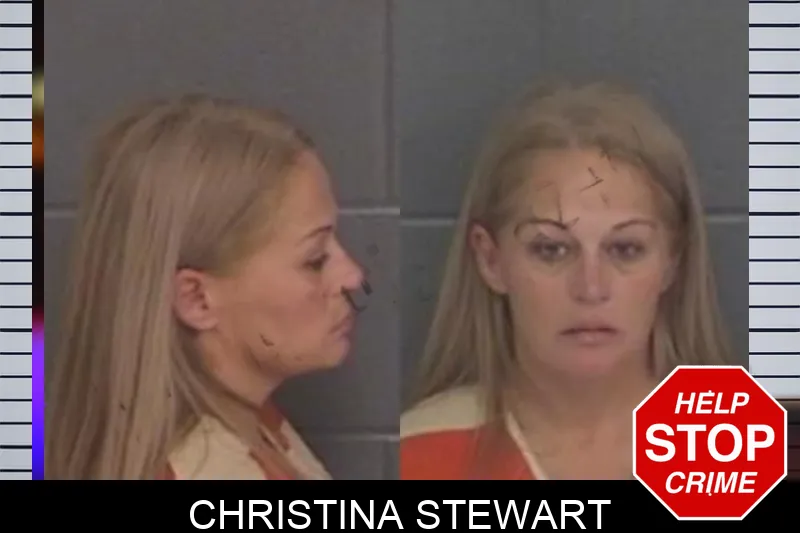 Christina Stewart Mugshots