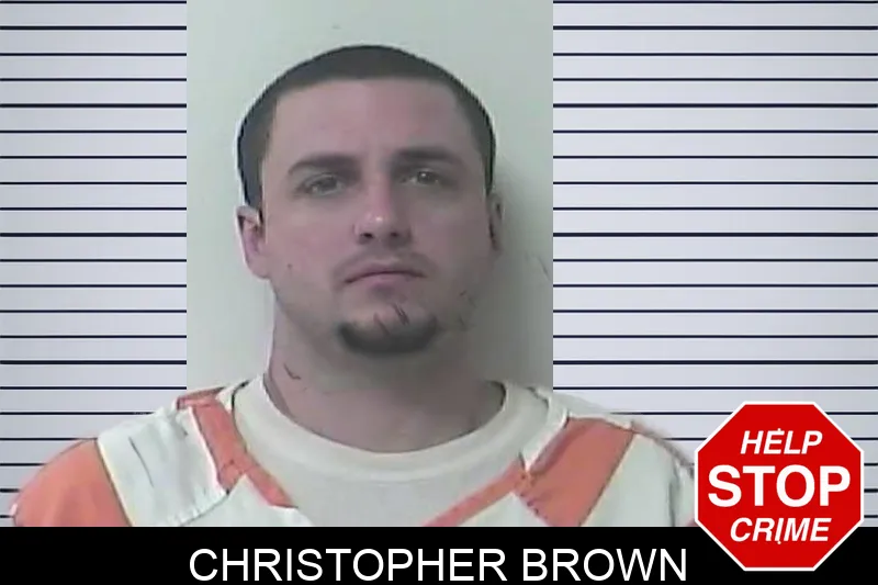 Christopher Brown Mugshots