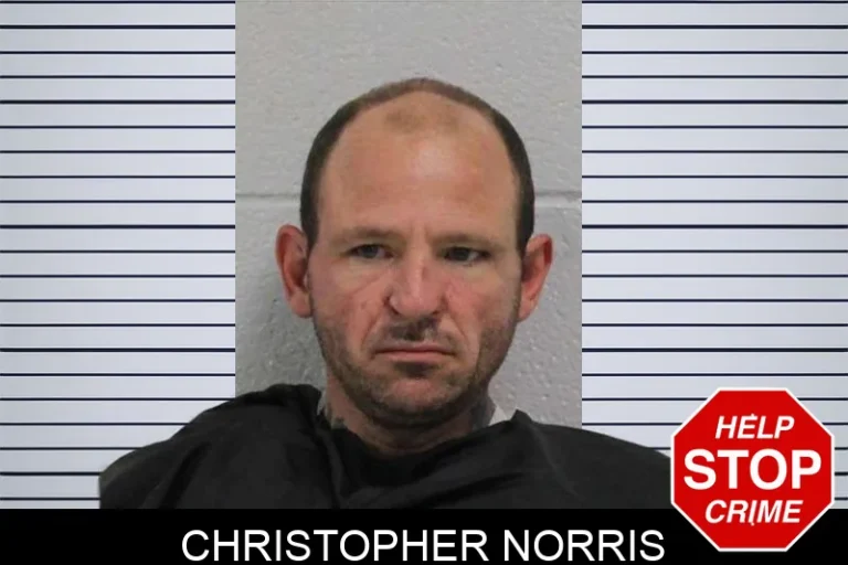 Christopher Norris
