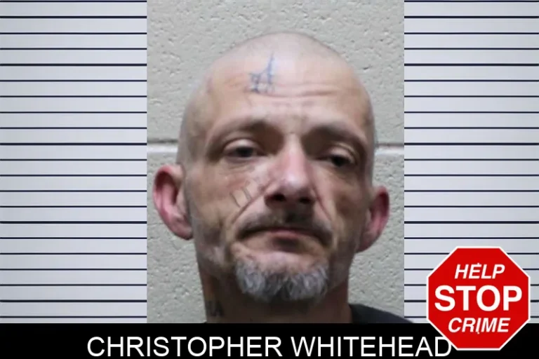 Christopher Whitehead